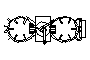 2D Bottom View